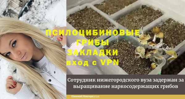 первитин Дмитров