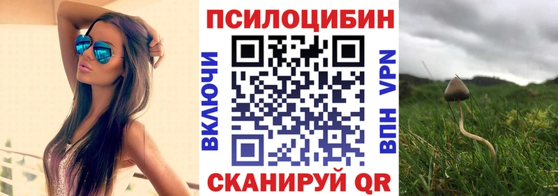 купить наркоту Невинномысск Галлюциногенные грибы Cubensis